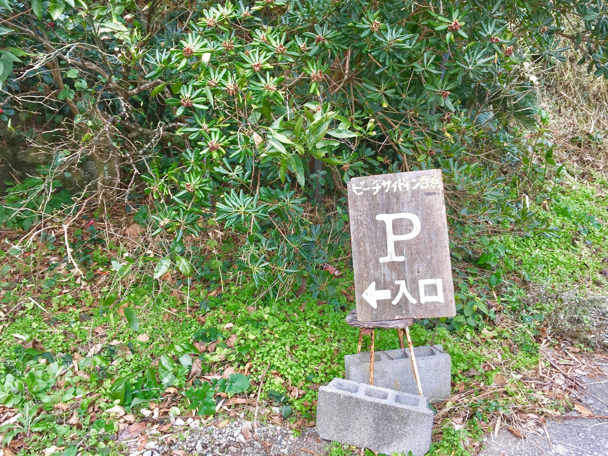 Beach Side Inn Shirahama Shimoda  Exteriör bild
